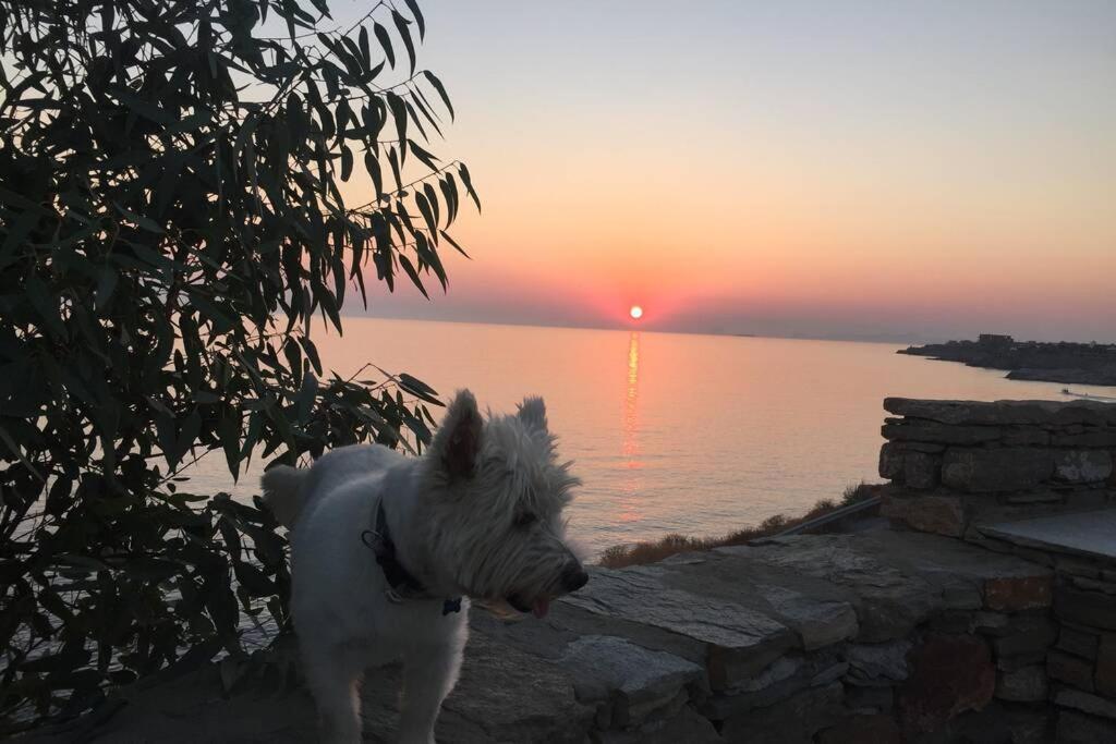 Sunset With Swimming Pool At Tzia Ligia (Kea)